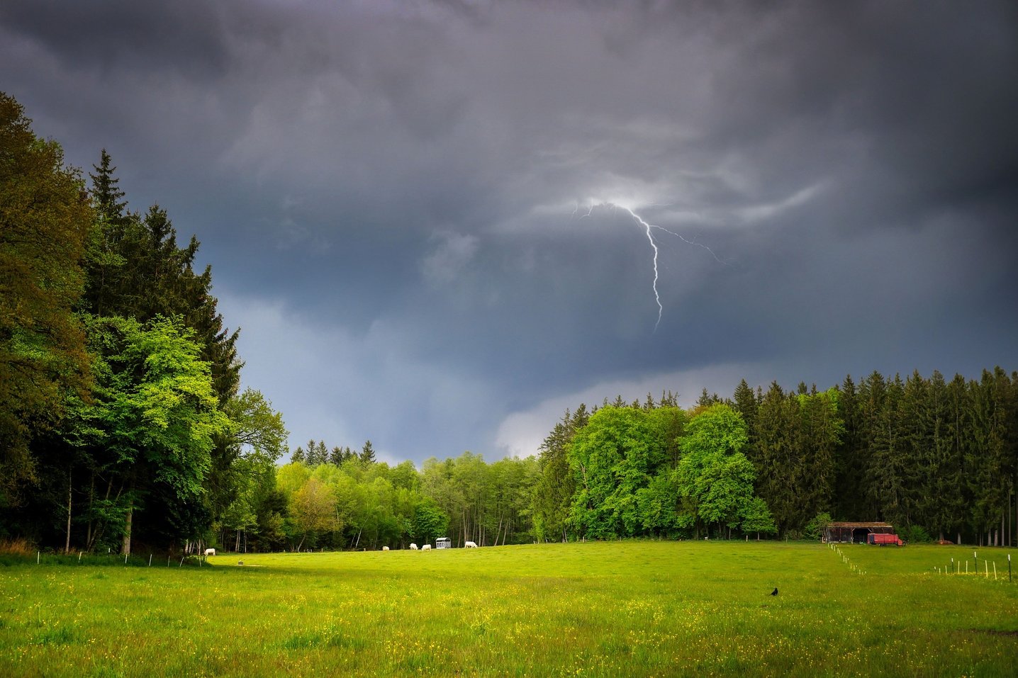 storm-6580149_1920