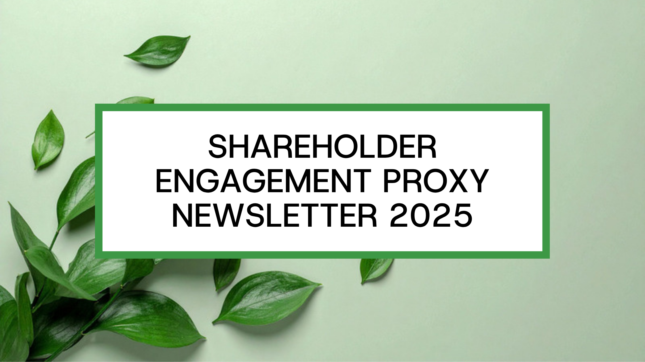 Shareholder Engagement Proxy Newsletter 2025