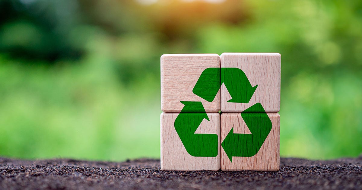 3 Companies Combining Bold Sustainability Goals With Business Growth